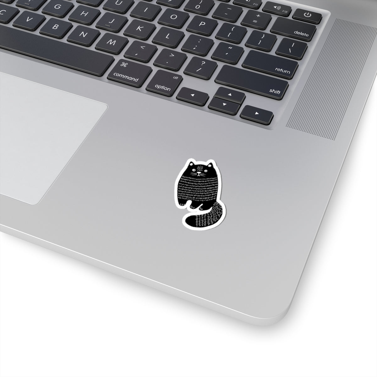 Cat 3