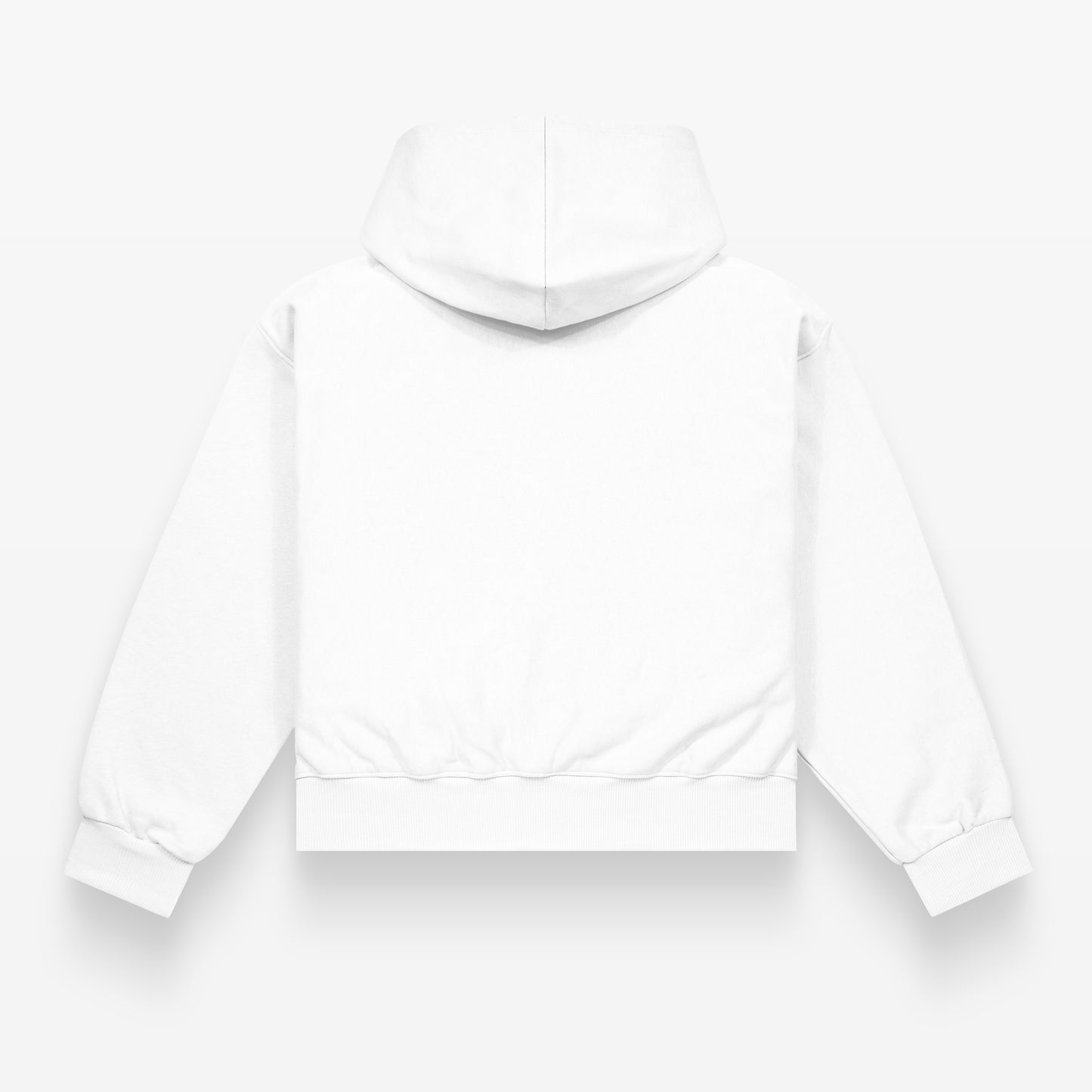 Hoodie – 1000 years of amnesia