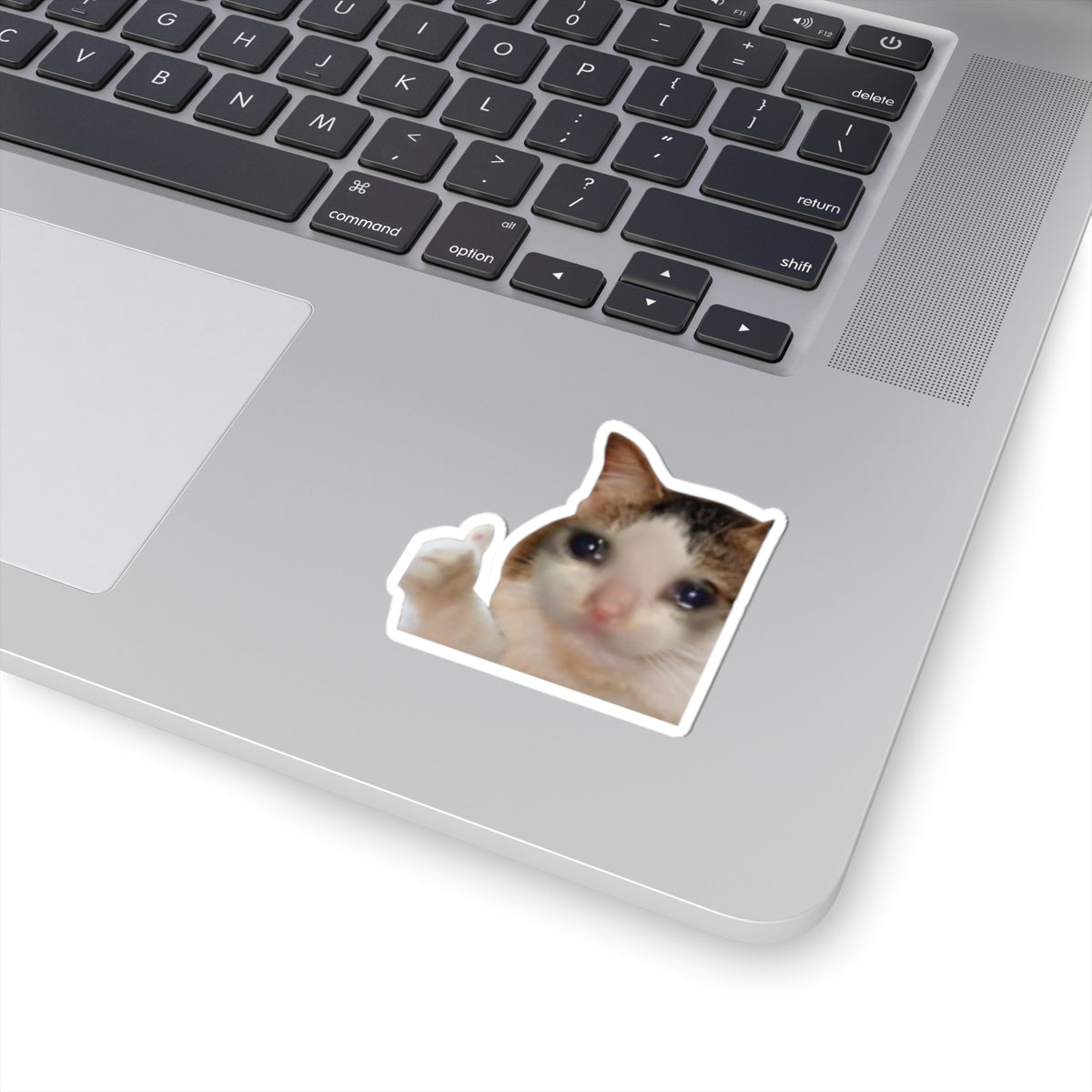 Cry Cat